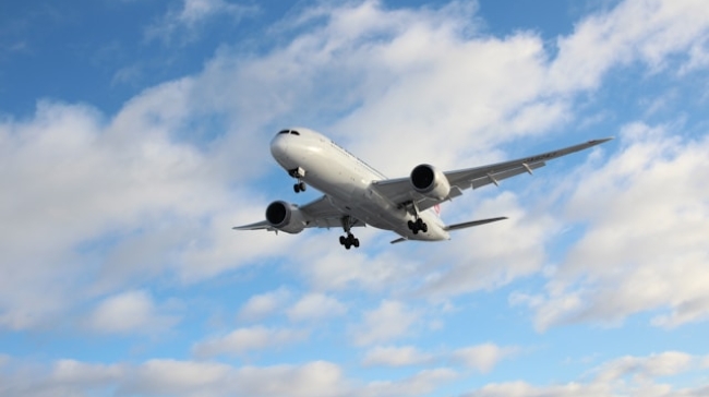 Αναγκαστική προσγείωση για Boeing 737 στο «Ελευθέριος Βενιζέλος»: Μπήκαν πουλιά στους κινητήρες