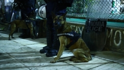 Δρακόντεια μέτρα ασφαλείας έξω από την Λεωφόρο: Ζώνες ασφαλείας, εκατοντάδες αστυνομικοί και σκυλιά (vid)