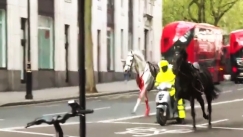 Τρόμος στο Λονδίνο: Στρατιωτικά άλογα κάλπαζαν ανεξέλεγκτα, το ένα ήταν καλυμμένο με αίματα (vid)