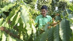 Γιατί εκτοξεύεται η τιμή του καφέ: Ο ρόλος του Βιετνάμ και η νέα «χρυσή» σοδειά των καλλιεργητών