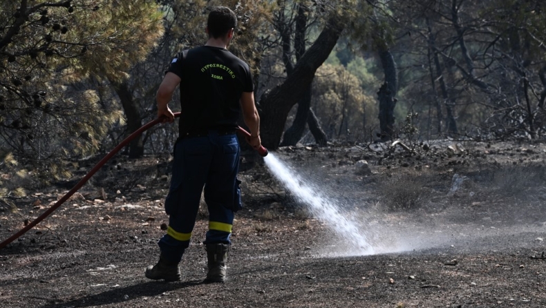 Αναζωπύρωση στην φωτιά στην Μάνδρα: Στην περιοχή Καραούλι