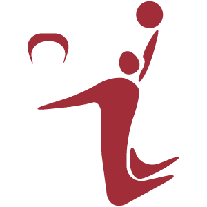 Διοργάνωση: Ολυμπιακοί Αγώνες Μπάσκετ (W)