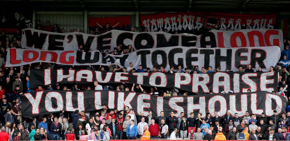 bohemians-fans