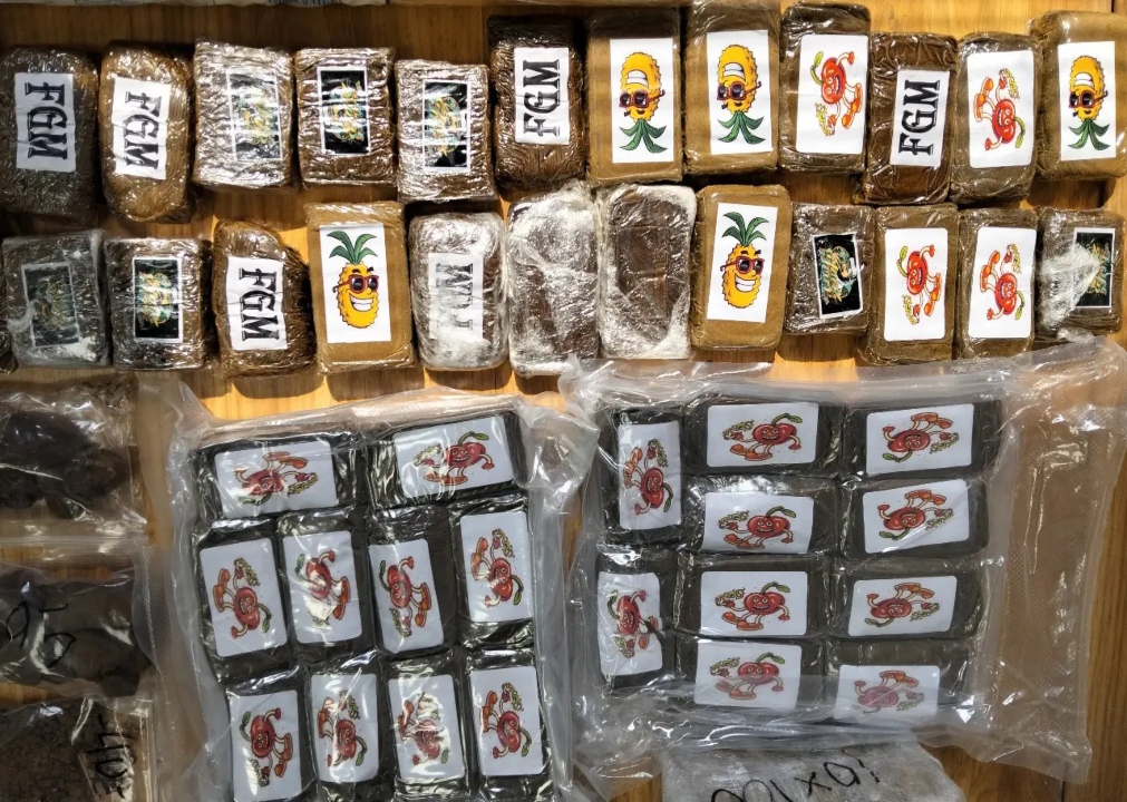 Εξαρθρώθηκε εγκληματική οργάνωση απ' την αστυνομία