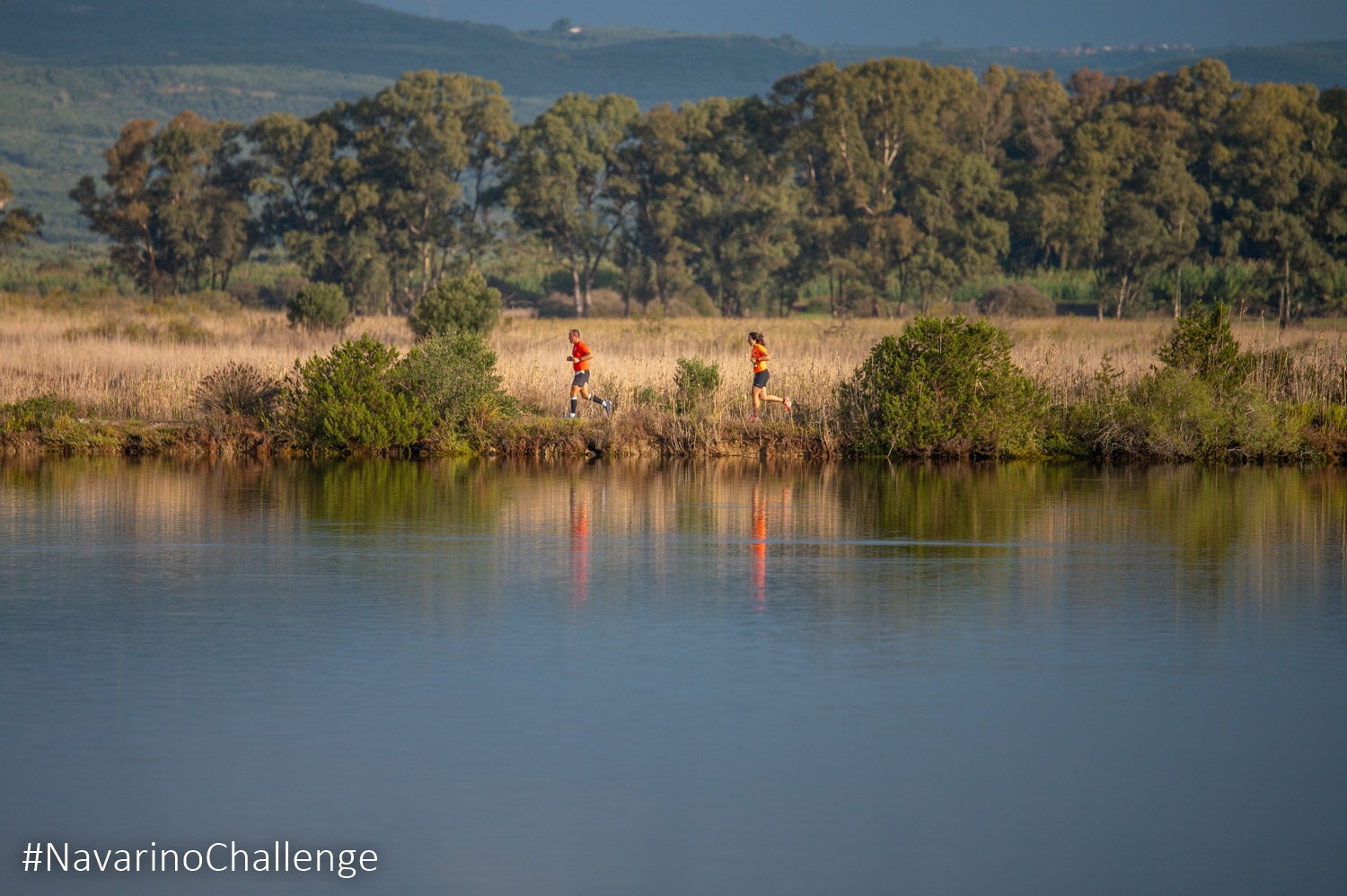 navarino challenge 333