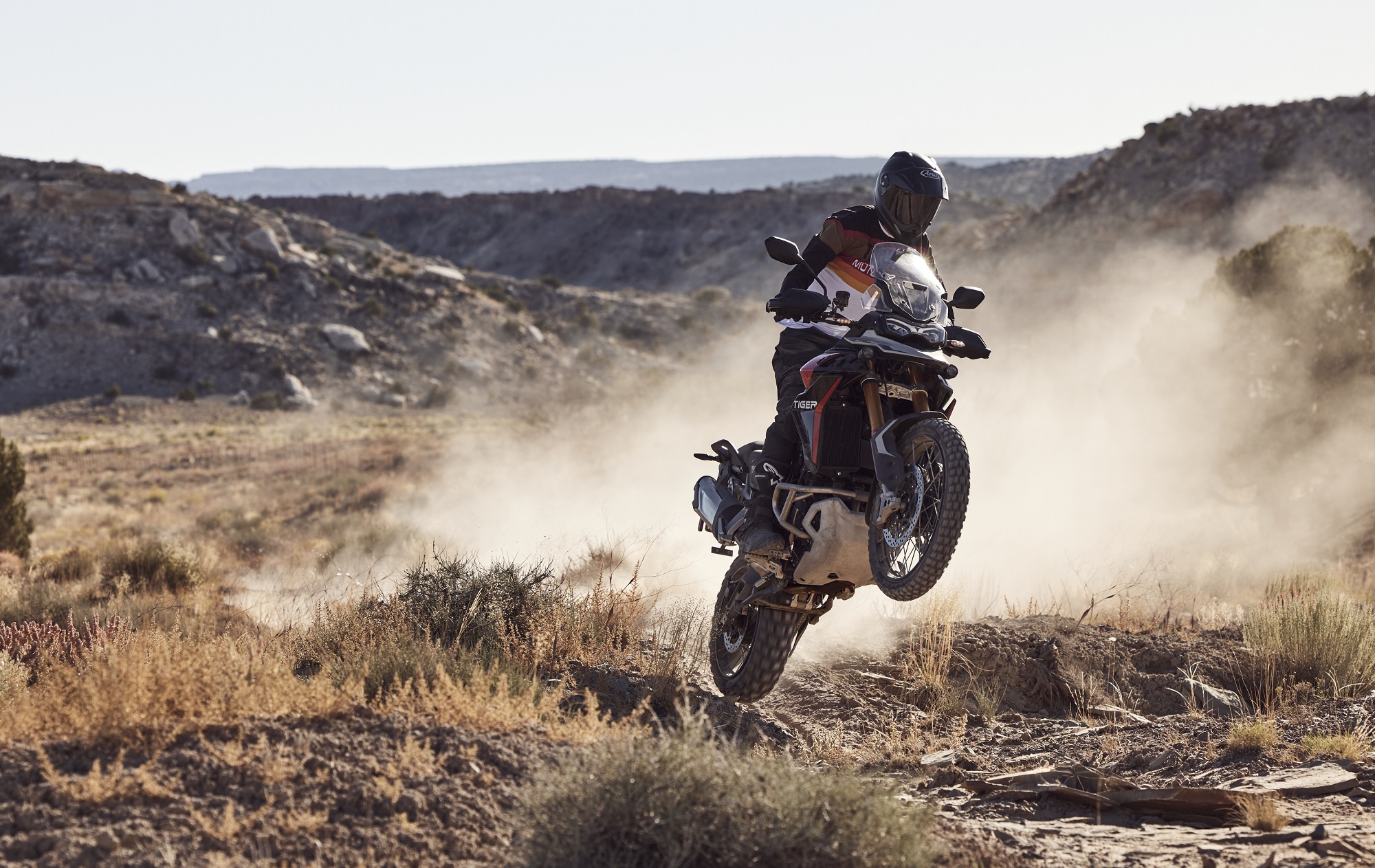 Triumph Tiger 900 Rally Pro