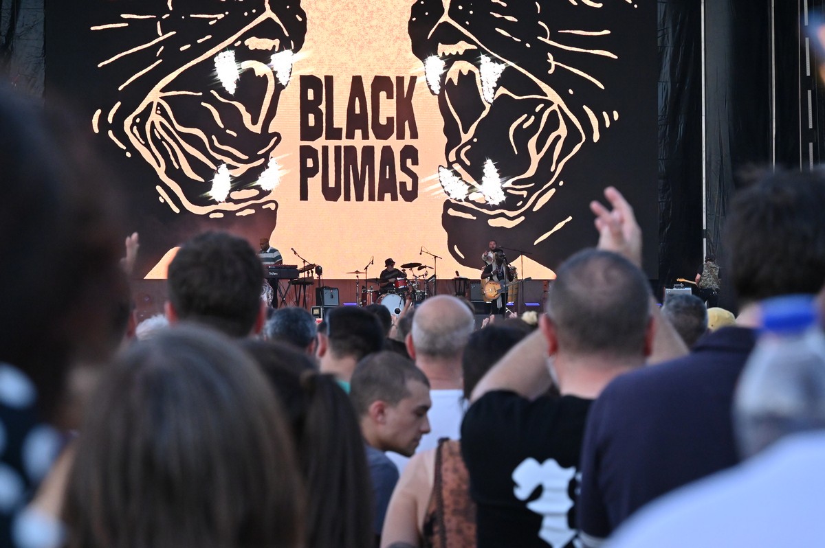 black pumas