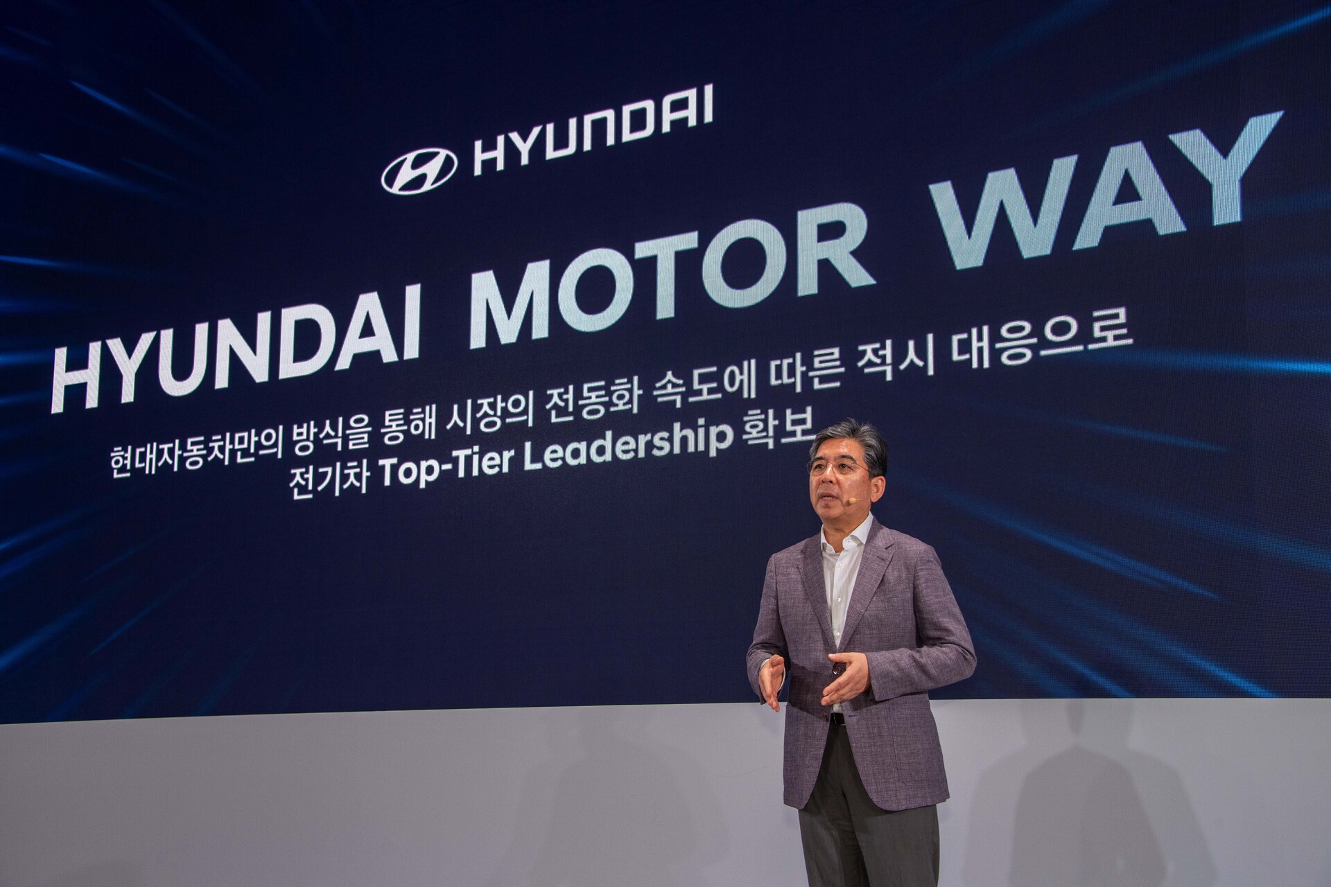 Hyundai CEO