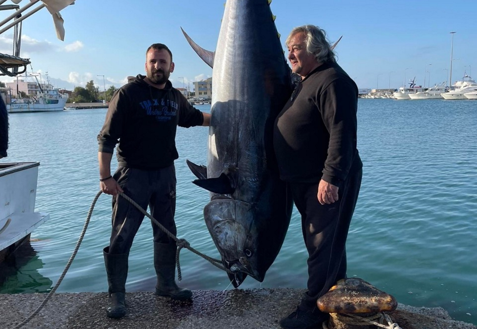 Τεράστιος τόνος στην Κυλλήνη 