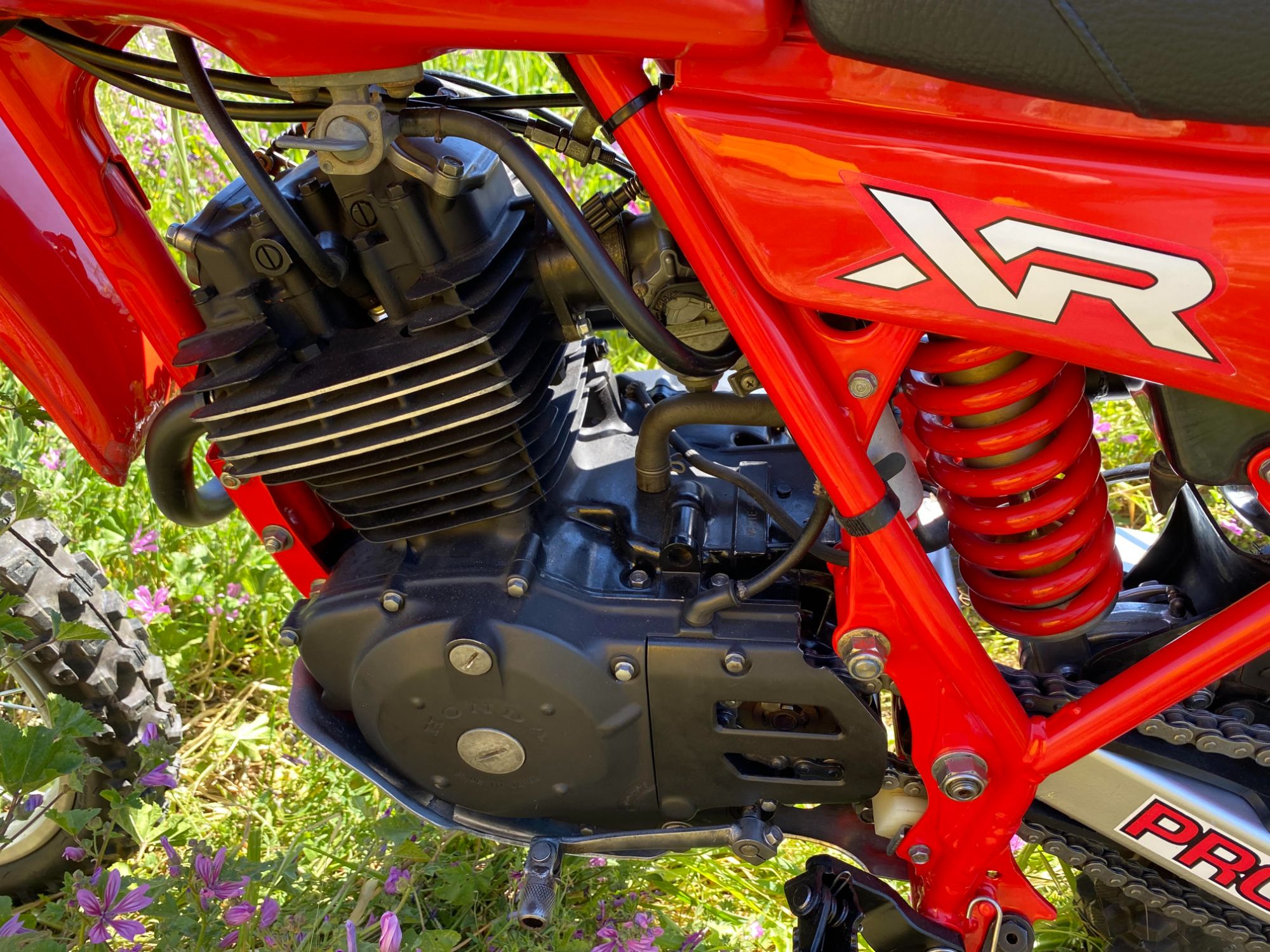 xr 250