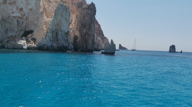 Συναγερμός στις ελληνικές θάλασσες: «Εισβολέας» απειλεί ψάρια και κολυμβητές