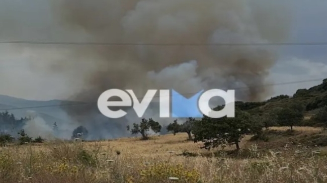 Φωτιά τώρα στην Εύβοια: Ισχυρές δυνάμεις της Πυροσβεστικής στο σημείο
