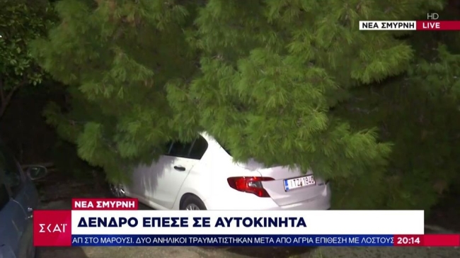 Μεγάλο δέντρο καταπλάκωσε αυτοκίνητα στη Νέα Σμύρνη: Από τύχη δεν υπήρξαν θύματα (vid)