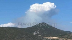 Φωτιά σε δασική έκταση στη Φθιώτιδα: Εντολή εκκένωσης για το Λογγίτσι