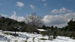 Ο φετινός Μάρτιος στην Ελλάδα ήταν ψυχρότερος από τους μήνες του χειμώνα! 