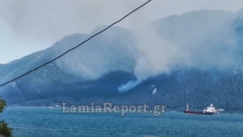 Φωτιά στη Βόρεια Εύβοια: Δύο οι εστίες, επιχειρούν αεροσκάφη (vid)