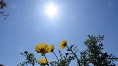 Άστατος ο καιρός την Παρασκευή (24/6), από τον καύσωνα στα μπουρίνια (χάρτης &vid)