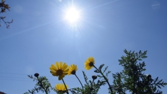 Φεύγει ο καύσωνας το Σάββατο (25/6), αίθριος ο καιρός σε όλη τη χώρα (χάρτες & vid)