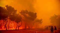  Συνδρομή των Ενόπλων Δυνάμεων στην πυρκαγιά στα Βατερά Λέσβου (vid)