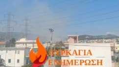 Πυρκαγιά στη Φυλή απέναντι από το γήπεδο Πανοράματος (vid)