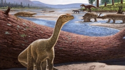 Ανακαλύφθηκε ο Mbiresaurus, ο αρχαιότερος δεινόσαυρος της Αφρικής