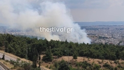 Φωτιά στο Σέιχ Σου: Μεγάλη κινητοποίηση της πυροσβεστικής (vid)