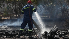 Φίδι δάγκωσε πυροσβέστη όταν επιχειρούσε σε φωτιά στην Ηλεία