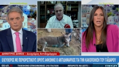 Τα... έχωσε η Βούλγαρη στον δικηγόρο του αντιδημάρχου για τον γάιδαρο: «Δεν θα μας βγάλετε τρελούς» (vid)