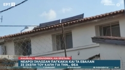 Νεαροί ξήλωσαν παγκάκια και τα έβαλαν σε σκεπή των ΚΑΠΗ για τη… θέα (vid)