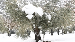 Νέα προειδοποίηση από την ΕΜΥ: Καταιγίδες και χιόνια μέχρι και την Τρίτη