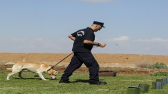 Γυναίκα στη Θεσσαλονίκη πέταξε τα ναρκωτικά στη τουαλέτα αλλά τα βρήκε λαγωνικό της ΕΛ.ΑΣ 