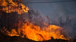 Σύλληψη ατόμου με εύφλεκτη ύλη κοντά στον Αλμυρό Βόλου: «Είναι εμπρησμός, η φωτιά έχει ονοματεπώνυμο» (vid)