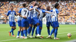 brighton_celebration