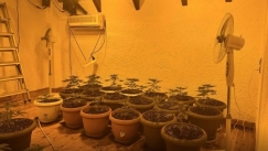 Εξαρθρώθηκε εγκληματική ομάδα στην Αχαΐα που καλλιεργούσε κάνναβη με ανεμιστήρες 