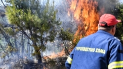 Φωτιά στις Ερυθρές Αττικής: Απομακρύνθηκαν προληπτικά παιδιά από την κατασκήνωση του Δήμου Ασπροπύργου στα Βίλια
