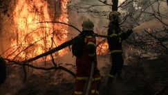Θρίλερ στην Αμαλιάδα: Έσβηναν φωτιά και εντόπισαν ανθρώπινα οστά