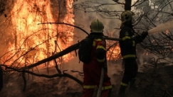 Φωτιά στο δάσος της Δαδιάς στον Έβρο: Σπεύδει η Πυροσβεστική