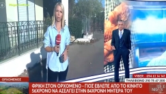 Φρικτό περιστατικό στον Ορχομενό: «Γιος είδε από το κινητό του 56χρονο να ασελγεί στην 84χρονη μητέρα του» (vid)