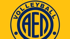 ael_volley