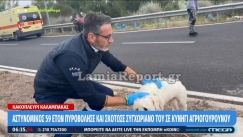 Νεκρός 54χρονος σε τροχαίο: Το σκυλάκι του σώθηκε και τον περίμενε να βγει από το ΙΧ (vid)