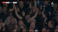 newcastle-fan