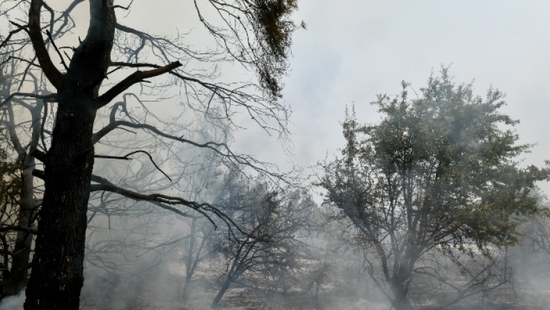 Νεκρός εθελοντής πυροσβέστης στην Ιπποκράτειο Πολιτεία (vid)