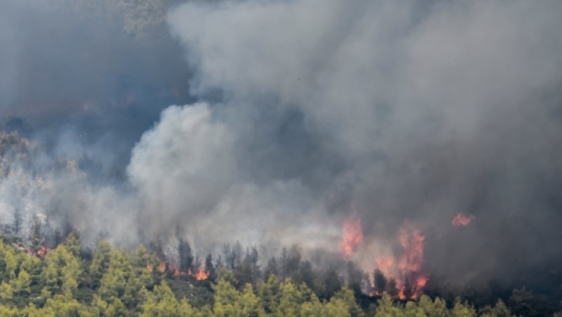 Σε εξέλιξη η πυρκαγιά στα Βίλια: Μάχη για την αποφυγή αναζωπυρώσεων, έχουν καεί πάνω από 80.000 στρέμματα (vid)