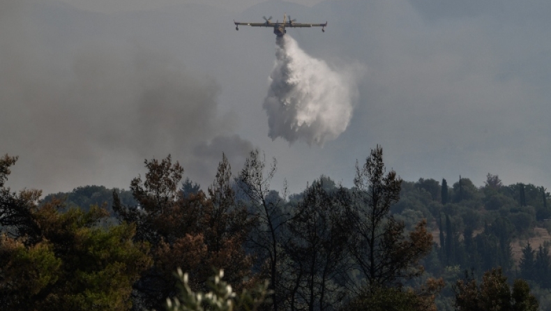 Ολονύχτια μάχη με διάσπαρτες εστίες φωτιάς έδωσαν στη Γορτυνία (vid)