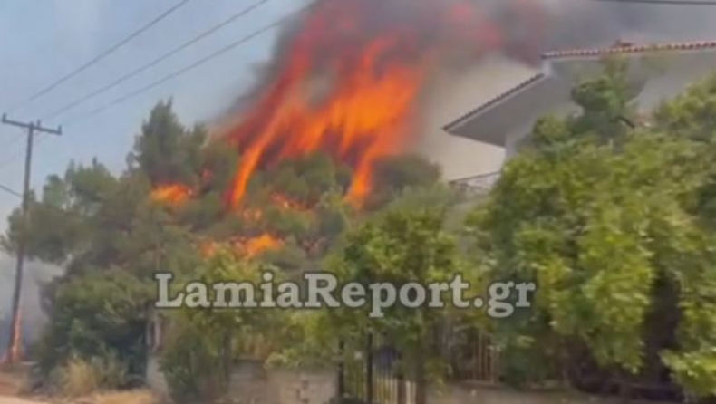 Καίγονται σπίτια στον Θεολόγο Φθιώτιδας (vid)