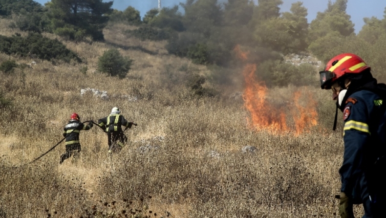 Παλεύουν με τους ανέμους και τις αναζωπυρώσεις στα Βίλια (vid)