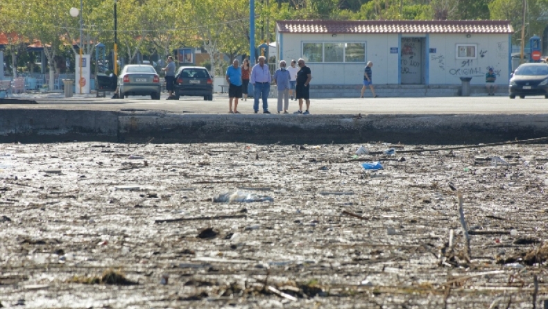 Τραγωδία στον Ωρωπό: Δύο νεκροί από πτώση αυτοκινήτου στη θάλασσα (vid)