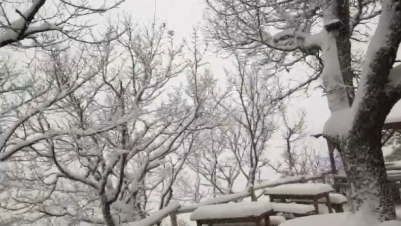 Ντύθηκε στα λευκά η Πάρνηθα! (vid)