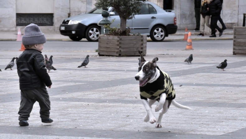 Ζωηρεύει ο ήλιος, αλλά το κρύο παραμένει τσουχτερό (χάρτες & vid)