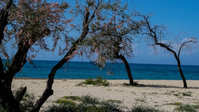 Ηλιόλουστη η Τρίτη (26/4), σε ποιες περιοχές θα ανέβει η θερμοκρασία (χάρτης & vid)